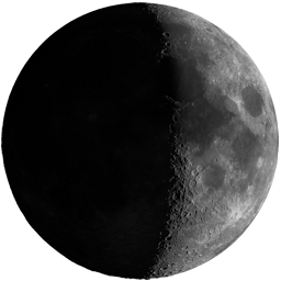 Mond Icon